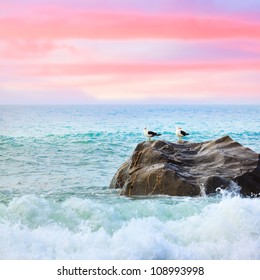 Two Seagulls On The Rock At Sunset. Tasman Sea