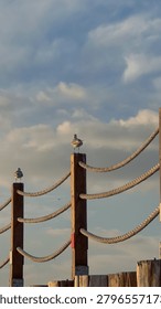 Two seagulls perched on top of a rustic wooden fence with ropes against a cloudy sunset sky near the coast