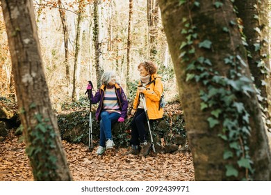 Two Senior Female Friends Hiking Together Through The Forest In Autumn