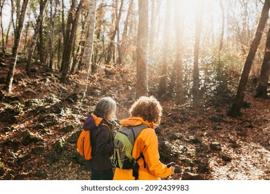 Two Senior Female Friends Hiking Together Through The Forest In Autumn