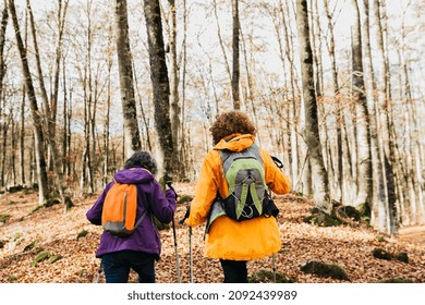 Two Senior Female Friends Hiking Together Through The Forest In Autumn