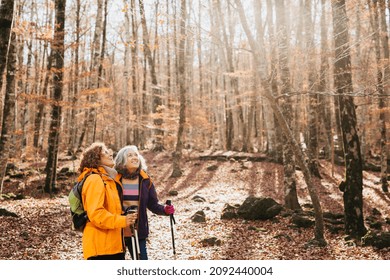 Two Senior Female Friends Hiking Together Through The Forest In Autumn