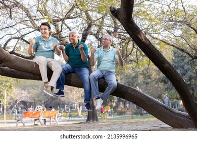 Two senior man with son having fun while sitting on tree branch at park
