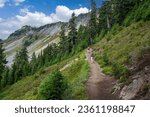 Two Senior Women Hiking a Mountain Trail. The Ptarmigan Ridge Trail in the Mt. Baker National Forest is rocky from start to finish, lined with lupine and sedges, and patches of blueberries.