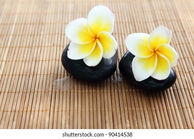 Two set of yellow frangipani flower on top of spa/massage stones