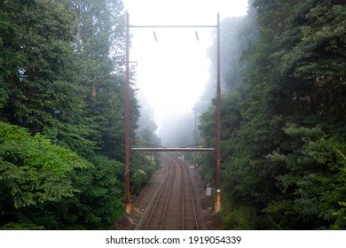 Two sets of train tracks curve through a misty foggy forest under old rusting iron infrastructure
