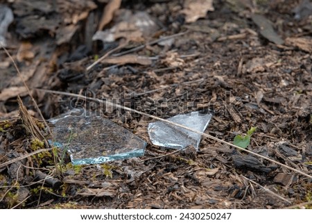 Two shards of broken glass catching the light on the forest floor.