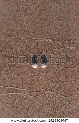 two shells on the sea sand are drawn holding each other and with a heart. High quality photo