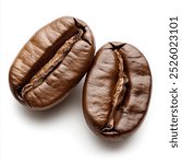 Two shiny fresh roasted coffee beans isolated on white background.