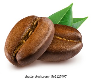 Two shiny fresh roasted coffee beans with leaves isolated on white background.