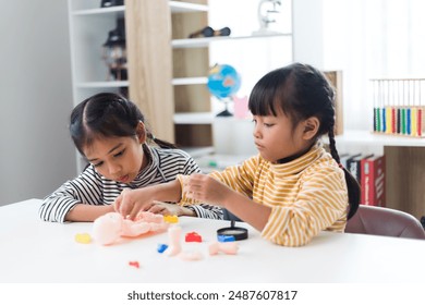 two sibling Playing Anatomy studies for kids. Human body organs and skeleton parts toy. Learning medical terms, order and location of each part. at home. - Powered by Shutterstock