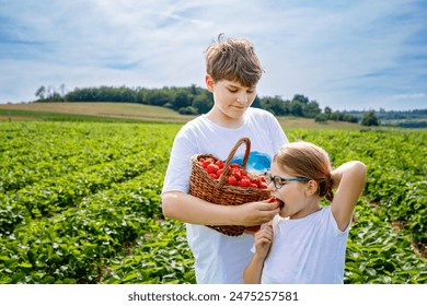 Two siblings, preschool girl and school boy having fun with picking on strawberry farm in summer. Children, sister and brother eat healthy organic food, fresh strawberries. Kids helping with harvest. - Powered by Shutterstock