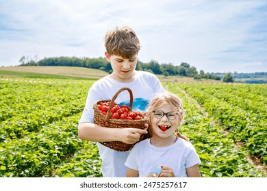 Two siblings, preschool girl and school boy having fun with picking on strawberry farm in summer. Children, sister and brother eat healthy organic food, fresh strawberries. Kids helping with harvest. - Powered by Shutterstock