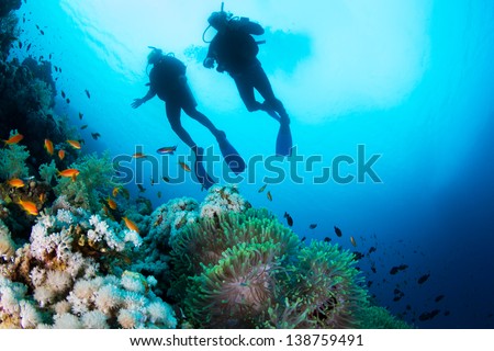 Two silhouettes of Scuba Divers swimming over the live coral reef full of fish and sea anemones.