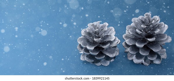 Two Silver Pine Cones On A Blue Snowy Background