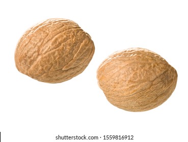 Two Single Whole Nutmeg Nuts