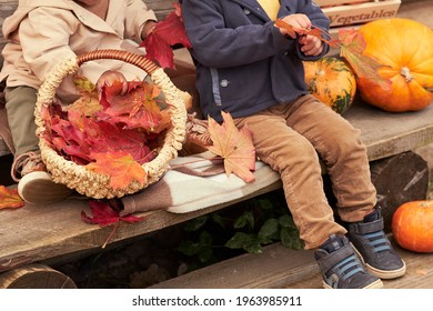 two sitting in autumn clothes on the steps next to a pumpkin. eating apples and playing with autumn leaves
