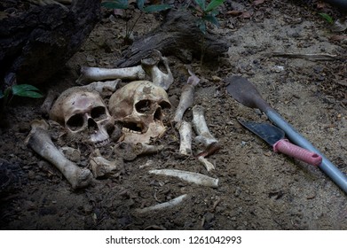 Two skulls and pile bone in the Graves discover by dig in cemetery / Select focus, Still life image