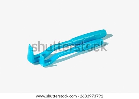 two small blue plastic tick remover tools, designed for safely extracting ticks and other biting insects attached to the skin, placed on a white background