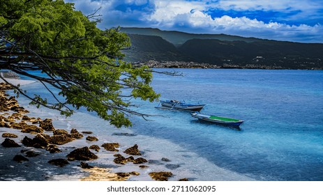 Two small boats float in incredibly clear, turquoise tropical water next to a rocky and sandy shore, framed by a vibrant tree branch against dramatic distant mountains and a blue sky.