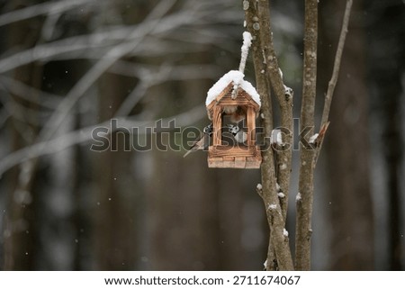 Two small Eurasian Crested Tits, one outside and the other inside, are at a wood bird feeder covered in light snow. This takes place during the day