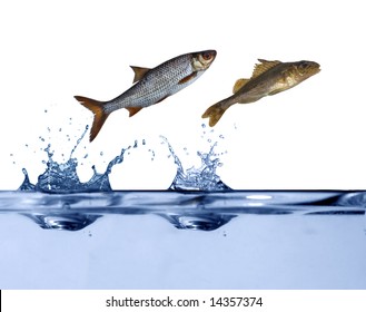 two small fishes are jumping above blue water