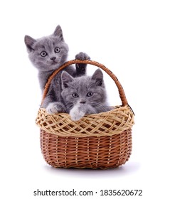 Two small kittens in the basket isolated on a white background.