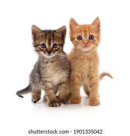 6,914,136 Pet Images, Stock Photos & Vectors | Shutterstock