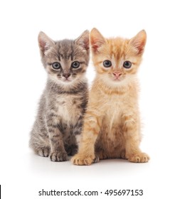 Two Small Kittens Isolated On A White Background.