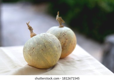 Two small pumpkins in the garden. Selective focus.