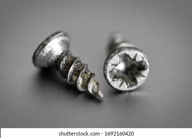 Two Small Screws, Bolts Close Up