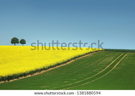 Similar – Old windmill at sunset. Spring Moravian rolling hills