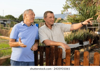 Two smiling male neighbors talking through wooden fence on sunny summer day, discussing latest news - Powered by Shutterstock