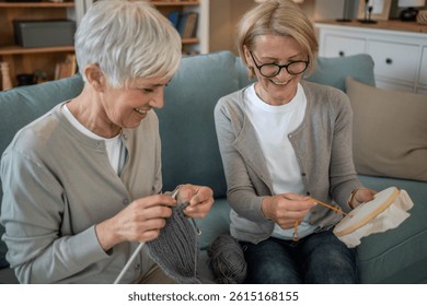 Two smiling senior women enjoying leisure time together on a cozy sofa, knitting and embroidering, sharing moments of creativity and friendship at home