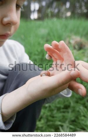 Similar – Image, Stock Photo Child holding two snail shells in her hand