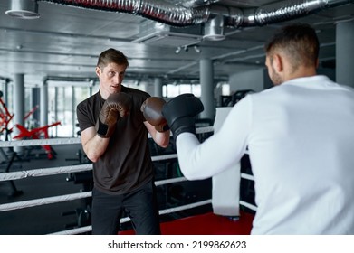 Two Sparring Partners Boxing Gloves Practice Stock Photo 2199862623 