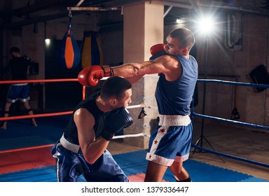 Two Sportsmen Aggressive Boxers Training Boxing Stock Photo 1379336447 