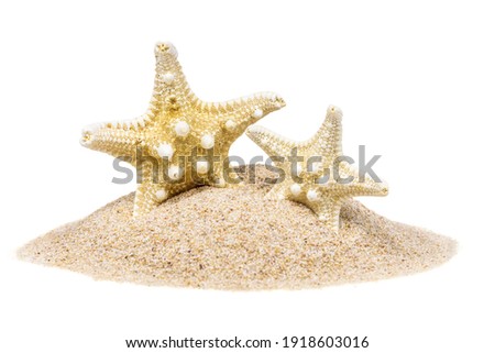 Two star fish on hipped sand, isoalated