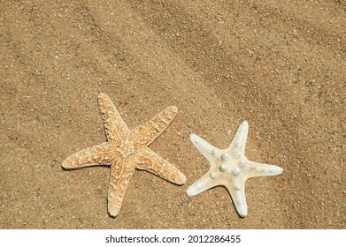 Two star fish on the sand, room for your text.