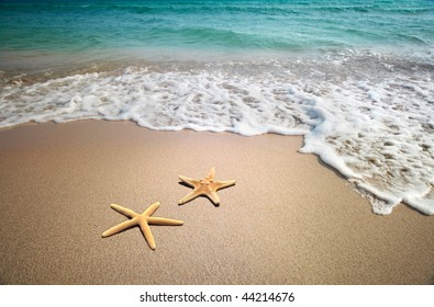 Two Starfish On A Beach