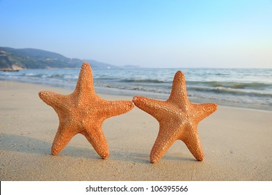 浜辺に座っている二匹のヒトデ写真素材 Shutterstock