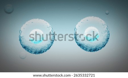 Two Stem Cells Replicate in the Human Body