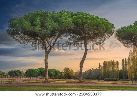 Landscape in a skewed position