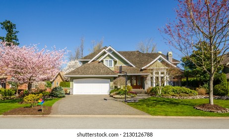 two story stucco luxury house with garage door, big tree and nice Spring Blossom landscape