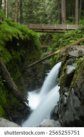 Two Streams of Sol Duc Falls Under Wooden Bridge in Olympic National Park