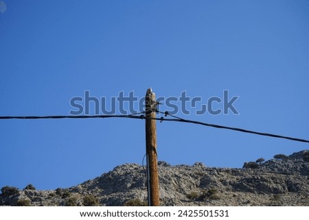 Two Streptopelia decaocto birds sit on a wooden electricity pole in August. The Eurasian collared dove, collared dove or Turkish dove, Streptopelia decaocto, is a dove species. Rhodes Island, Greece