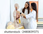 Two students examining an anatomical human model