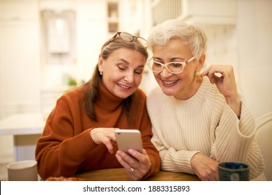 Two stylish retired female friends enjoying modern electronic gadget, sitting at cafe, watching pictures on mobile, recollecting good old days. Elderly women shopping online using smart phone - Powered by Shutterstock