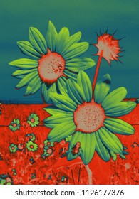Two sunflowers in a field of sunflowers are post-processed in a three color tone gradient.
