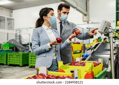 Two Supervisors Measuring Apples On Scales In Fruit Factory During Covid.